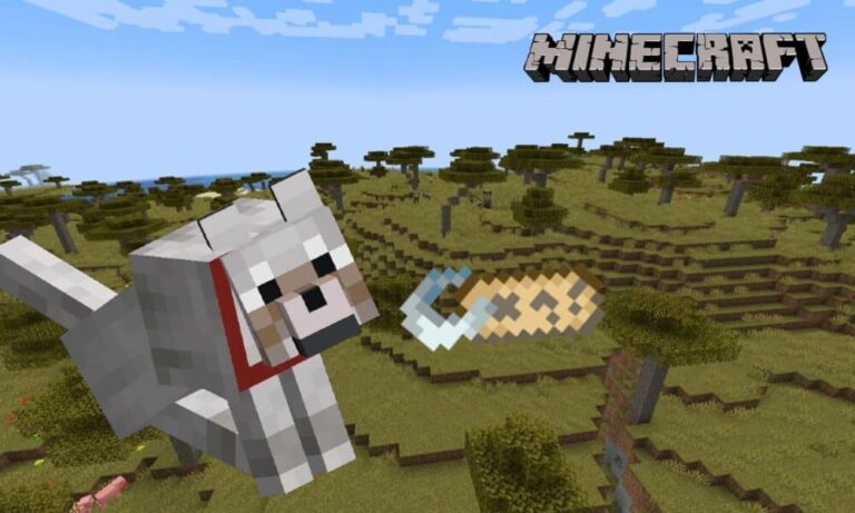 Guide des tags Minecraft