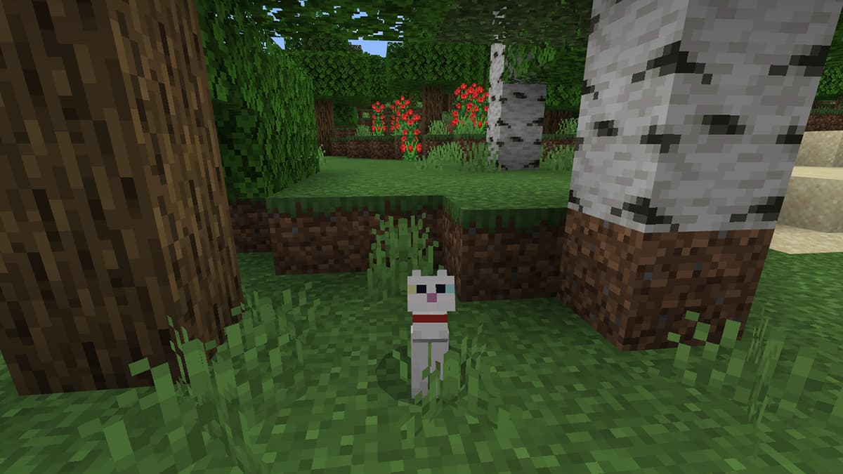 Calling All Gamers Discover The Secret Life Of Cats In Minecraft With